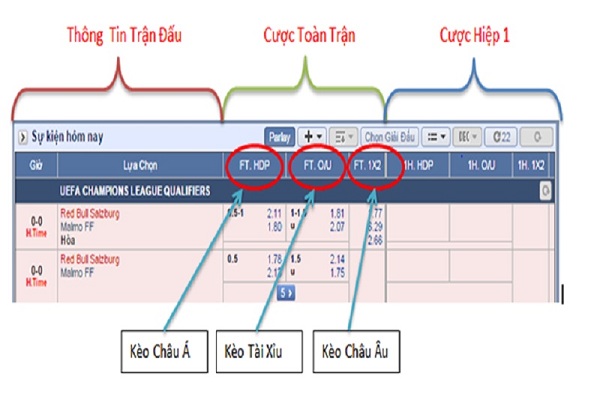 Tỉ lệ cược là gì? Những khái niệm cơ bản về tỉ lệ cược