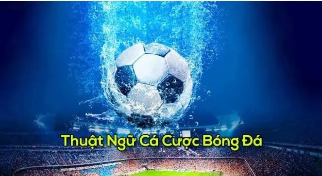 Thuật ngữ cá độ bóng đá 188BET: Giải thích cơ bản cho người mới