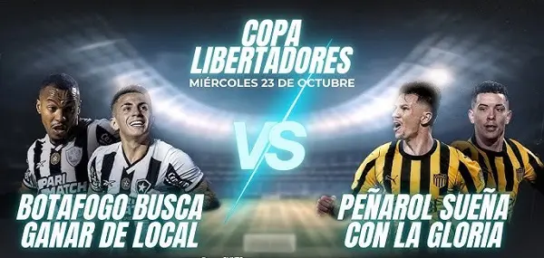 Nhận định Botafogo FR vs Penarol 7h30 ngày 2410 – Copa Libertadores 2024