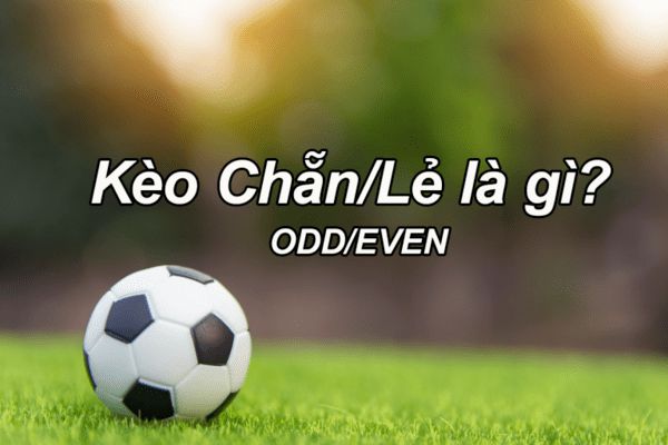 Mẹo chơi kèo chẵn lẻ cực hay khi cá cược bóng đá