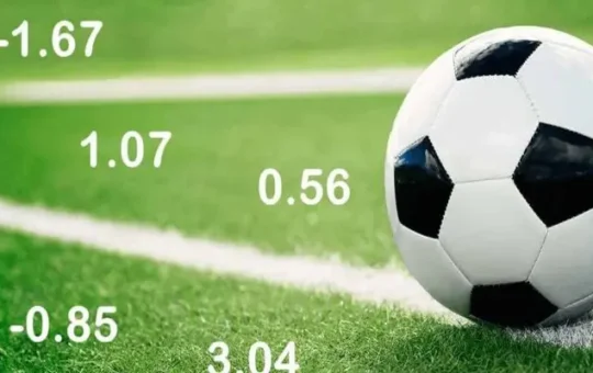 Hướng dẫn đọc odds và chọn kèo thành công