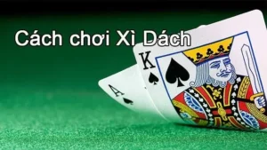 5 Mẹo chơi Xì Dách giúp chiến thắng mọi ván cược