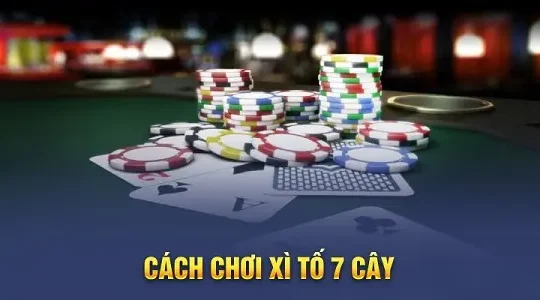 Xì Tố 7 Cây – Hướng dẫn luật và cách chơi chi tiết