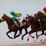 Cá cược đua ngựa Việt Nam ở đâu uy tín và an toàn